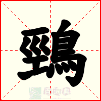 鵛