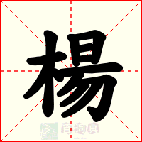 楊