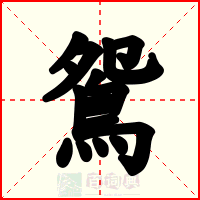 鴛