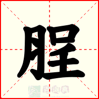 脭