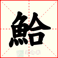 鮯