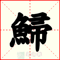 鯞