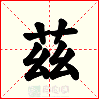 茲