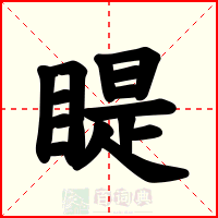 睼