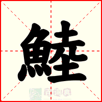 鯥