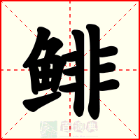 鲱