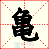 亀