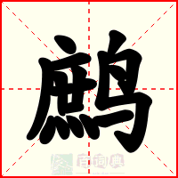 鹧