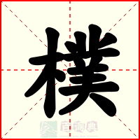 樸