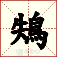鴩