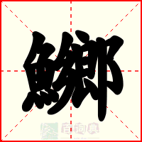 鱜