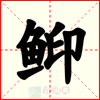 䲟