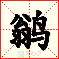 鹟