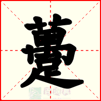 躉