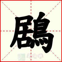 鶋