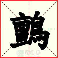 鸇
