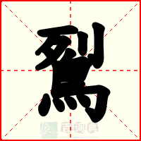鴷