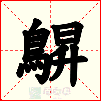 鵿
