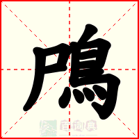 鳲