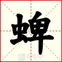 蜱