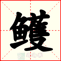 鳠