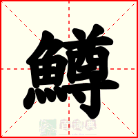鱒