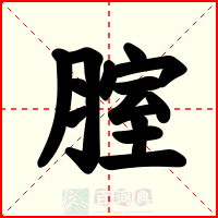 腟