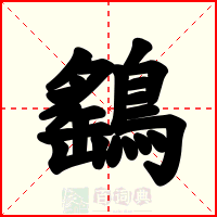 鷂
