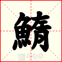 鰖