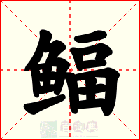 鲾