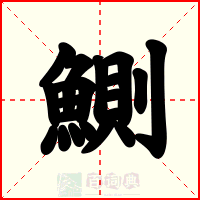 鰂