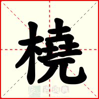 橈