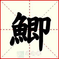 鯽