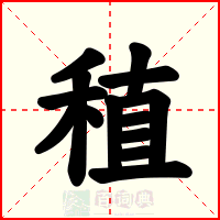 稙