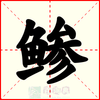 鲹