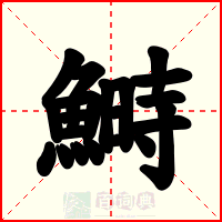 鰣
