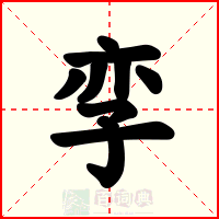 孪