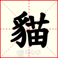 貓
