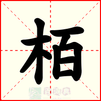 栢