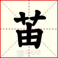 苖