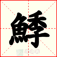 鯚