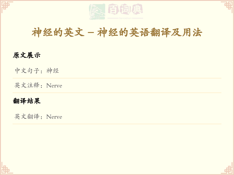 神经的英文