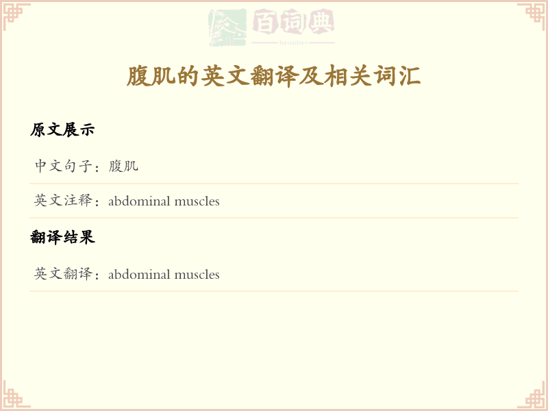 腹肌的英文