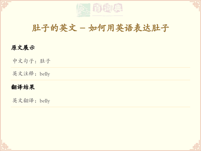 肚子的英文
