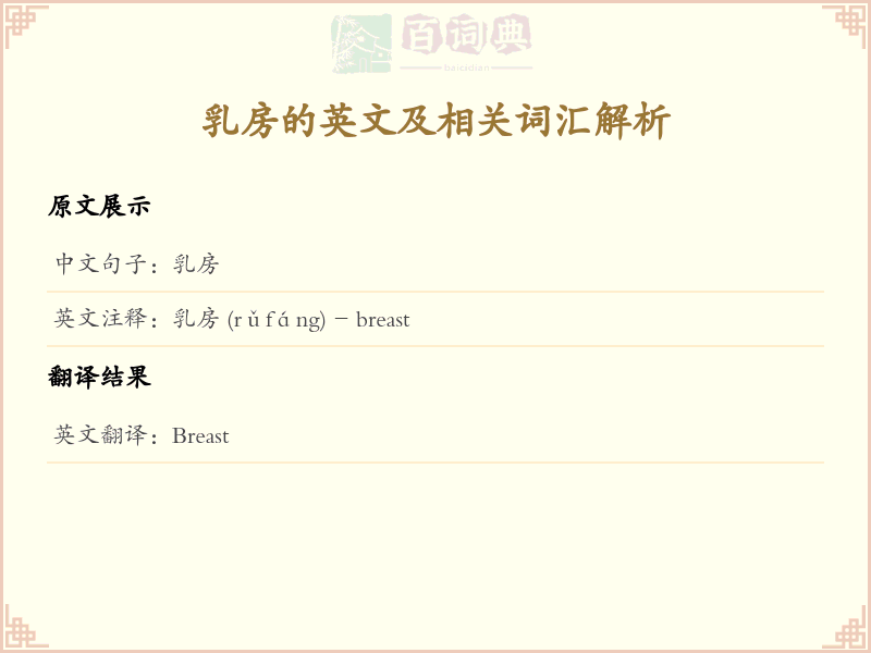 乳房的英文