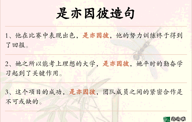 是亦因彼