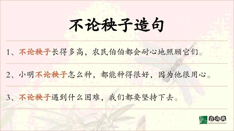 不论秧子