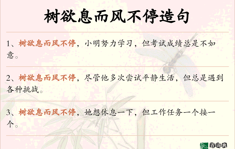 树欲息而风不停
