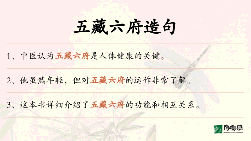 五藏六府