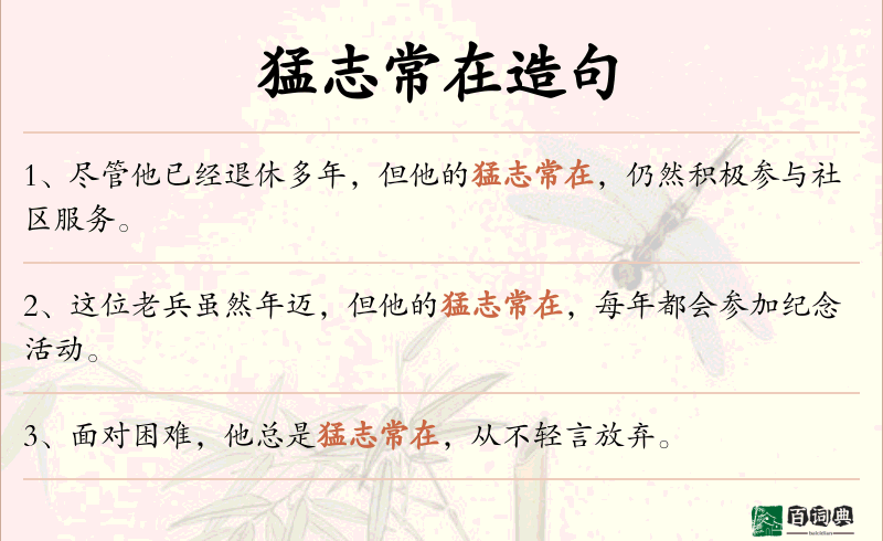 猛志常在